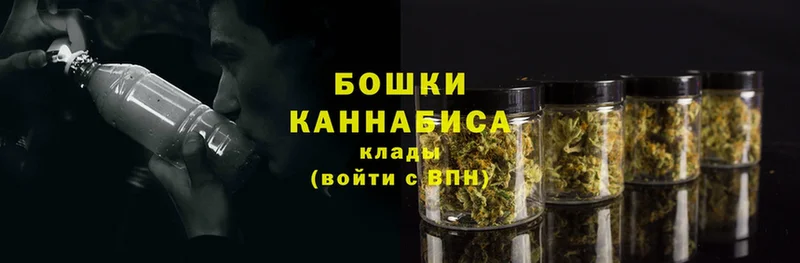 наркота  Новозыбков  Канабис планчик 